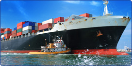 Shipping & International Transportation Services Alexandria